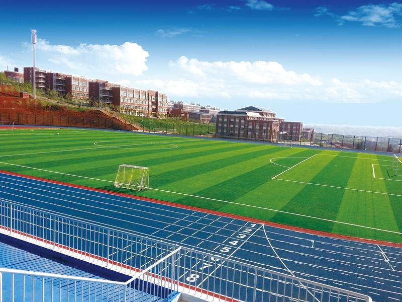 云南大學滇池學院——校園風光