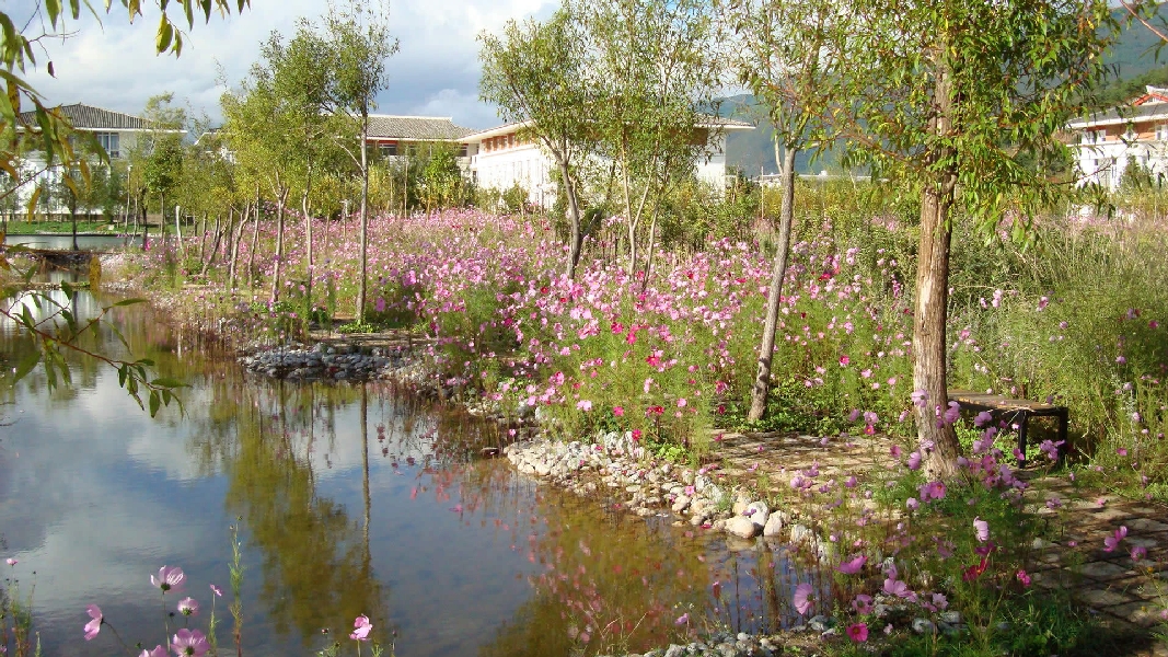 云南大學旅游文化學院——校園景觀圖(小徑)