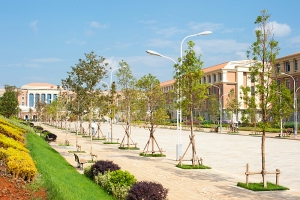 美麗云南大學